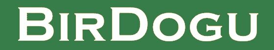 Birdogu Green